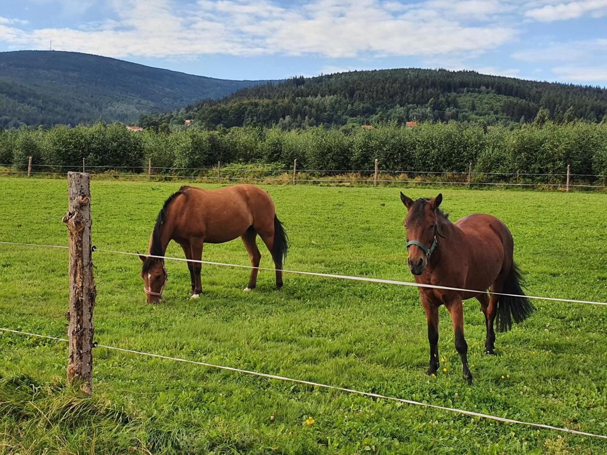 Apartizer Swieradow Zdroj Pobiedna Exteriör bild
